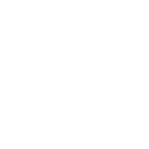 Carela Foundation Logo